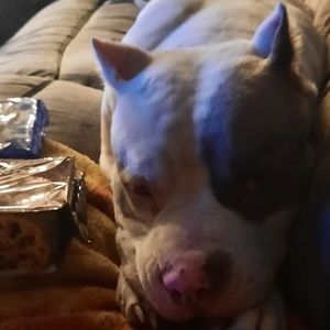 Meet your Posher, Steven